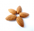 Almond_600x600