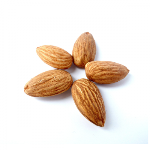 Almond_600x600