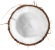 Coconut_600x600