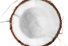 Coconut_600x600