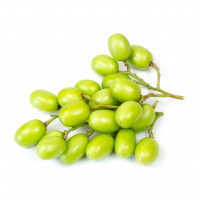 Neem-01 Neem-01
