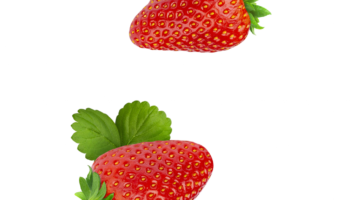 Strawberry-01