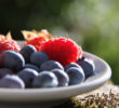 5foodsimage.png 5foodsimage.png