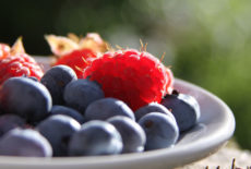 5foodsimage.png 5foodsimage.png